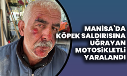 Manisa’da sokak köpekleri bir vatandaşa saldırdı: Motosikletten düşerek yaralandı