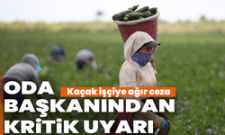 Kırkağaç Ziraat Odası Başkanı Özarı’dan çiftçilere kritik uyarılar: “Kaçak işçiye ağır ceza''