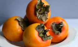 Manisa’da ilk kez düzenleniyor: 1. Cennet Elması Festivali kapılarını açacak!