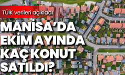 Manisa’da Ekim ayında kaç konut satıldı: TÜİK verileri açıkladı
