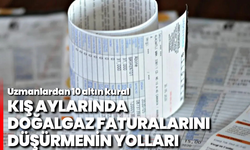 Kış aylarında doğalgaz faturalarını düşürmenin yolları: Uzmanlardan 10 altın kural