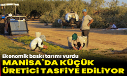 Ekonomik baskı tarımı vurdu: Manisa’da küçük üretici tasfiye ediliyor