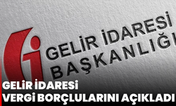 Gelir İdaresi vergi borçlularını açıkladı