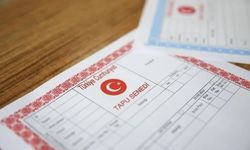 Pembe mi, mavi mi? Tapunuzun rengi taşınmaz hakkında ipucu veriyor