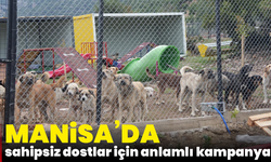 Turgutlu belediyesinden sahipsiz dostlar için anlamlı kampanya