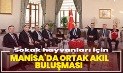 Sokak hayvanları için Manisa’da ortak akıl buluşması