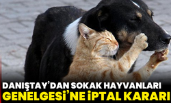 Danıştay’dan Sokak Hayvanları Genelgesi’ne İptal Kararı