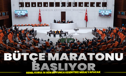 Bütçe maratonu başlıyor: Genel Kurul 14 gün boyunca kesintisiz mesai yapacak
