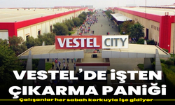 Vestel’de işten çıkarma paniği: Çalışanlar her sabah korkuyla işe gidiyor