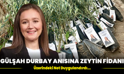 Gülşah Durbay Anısına Zeytin Fidanı… Üzerindeki Not Duygulandırdı