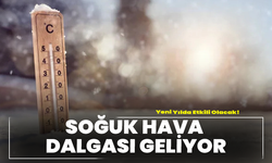 Soğuk Hava Dalgası Geliyor: Yeni Yılda Etkili Olacak!