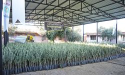 Manisa Büyükşehir Belediyesi’nden afetzede üreticiye büyük destek