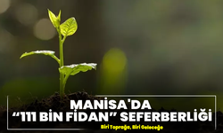Manisa'da “111 Bin Fidan” Seferberliği: Biri Toprağa, Biri Geleceğe