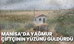 Manisa’da Yağmur Çiftçinin Yüzünü Güldürdü