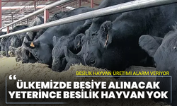 Besilik hayvan üretimi alarm veriyor :‘’Ülkemizde besiye alınacak yeterince besilik hayvan yok’’