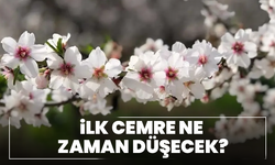 Baharın habercisi geliyor: İlk cemre için tarih belli oldu