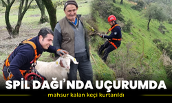 Spil Dağı’nda uçurumda mahsur kalan keçi kurtarıldı