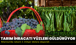 Tarım ihracatı yüzleri güldürüyor: Manisa’da rakam 1 milyar dolara dayandı