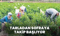 Tarladan sofraya takip başlıyor: B-Reçete zorunlu oluyor