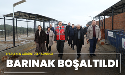 Tepki çeken görüntüler sonrası Şehzadeler’de barınak boşaltıldı