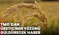 TMO’dan üreticinin yüzünü güldürecek haber