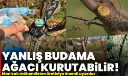 Yanlış budama ağacı kurutabilir! Manisalı mühendisten üreticiye önemli uyarılar