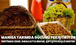 Manisa Tarımda Gücünü Pekiştiriyor: Üretimde Lider, İhracatta Rekor, Çiftçiye Güçlü Destek