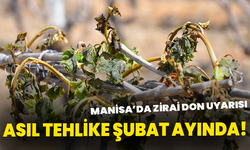 Manisa’da Zirai Don Uyarısı: Asıl Tehlike Şubat Ayında!
