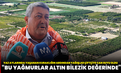 Yaz aylarında yaşanan kuraklığın ardından yağışlar çiftçiye can suyu oldu