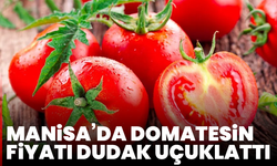 Manisa’da domatesin fiyatı dudak uçuklattı