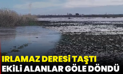 Irlamaz Deresi taştı, ekili alanlar göle döndü