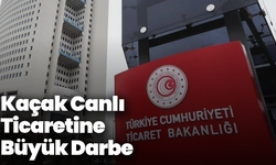 Kaçak Canlı Ticaretine Büyük Darbe