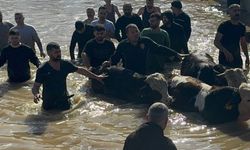 Manisa Büyükşehir Seferber: 44 Vatandaş ve 127 Hayvan Tahliye Edildi