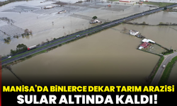 Manisa’da Binlerce Dekar Tarım Arazileri Sular Altında Kaldı!