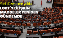 LGBT’ye ilişkin maddeler yeniden gündemde