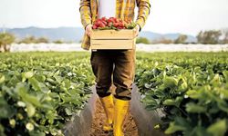 Tarımsal destek ödemeleri askıya çıktı, üreticilere kontrol uyarısı