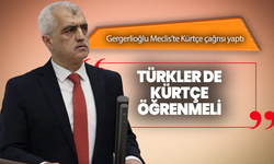 Gergerlioğlu Meclis’te Kürtçe çağrısı yaptı: “Türkler de Kürtçe öğrenmeli”