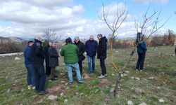Yuntdağı’nda Kırsal Kalkınma Atağı