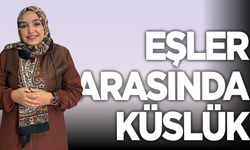 Eşler Arasında Küslük