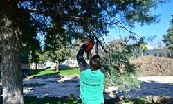 Gençlik Kütüphanesinin Yapımına Başlandı