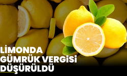 Limonda gümrük vergisi düşürüldü