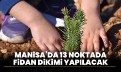 Manisa’da 13 Noktada Fidan Dikimi Yapılacak