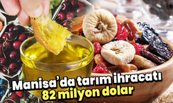 Manisa’da Tarım İhracatı 82 Milyon Dolar: Hububat Sektörü İlk Kez Zirvede
