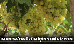 Manisa’da Üzüm İçin Yeni Vizyon