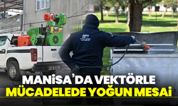 Manisa’da Vektörle Mücadelede Yoğun Mesai