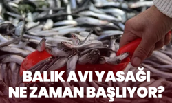 2026 Av Yasağı Tarihi Belli Oldu