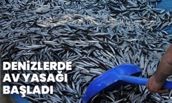 Denizlerde Av Yasağı Başladı