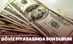 Döviz Piyasasında Son Durum