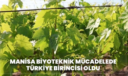 Manisa Biyoteknik Mücadelede Türkiye Birincisi Oldu