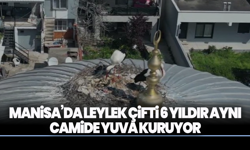 Manisa’da Leylek Çifti 6 Yıldır Aynı camide Yuva Kuruyor